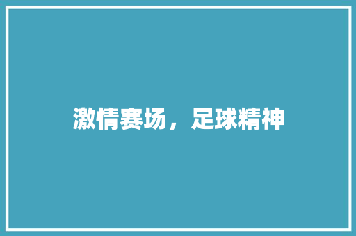 激情赛场，足球精神