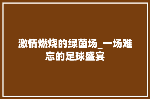 激情燃烧的绿茵场_一场难忘的足球盛宴