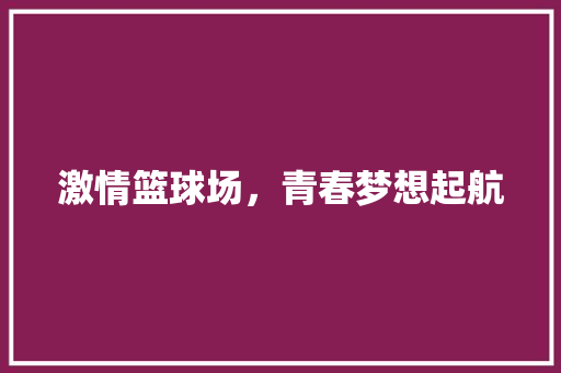 激情篮球场，青春梦想起航