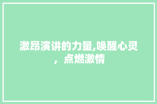 激昂演讲的力量,唤醒心灵，点燃激情