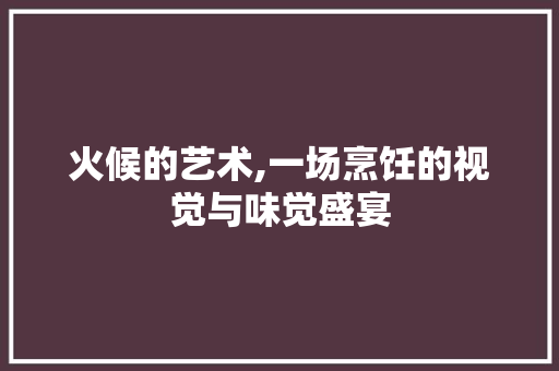 火候的艺术,一场烹饪的视觉与味觉盛宴