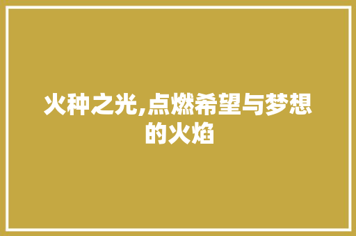 火种之光,点燃希望与梦想的火焰