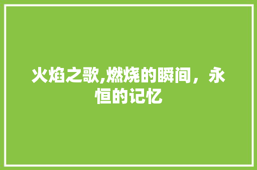 火焰之歌,燃烧的瞬间，永恒的记忆