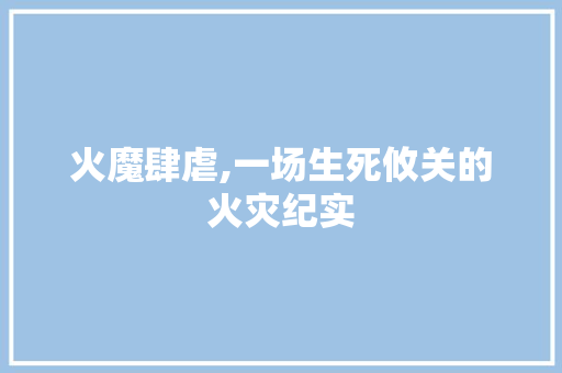 火魔肆虐,一场生死攸关的火灾纪实