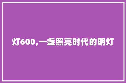 灯600,一盏照亮时代的明灯