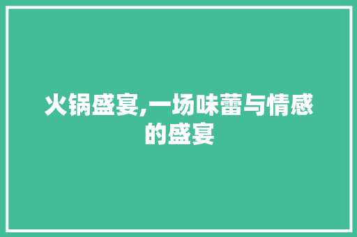 火锅盛宴,一场味蕾与情感的盛宴