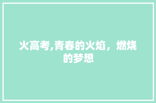 火高考,青春的火焰，燃烧的梦想