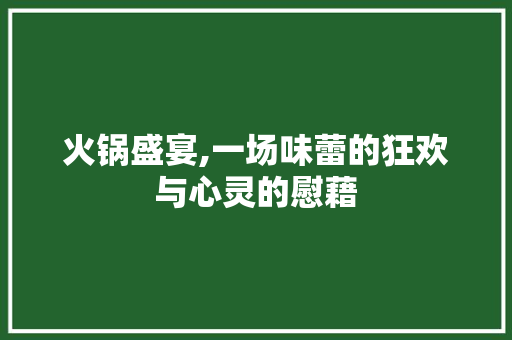 火锅盛宴,一场味蕾的狂欢与心灵的慰藉