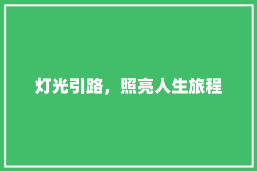 灯光引路，照亮人生旅程