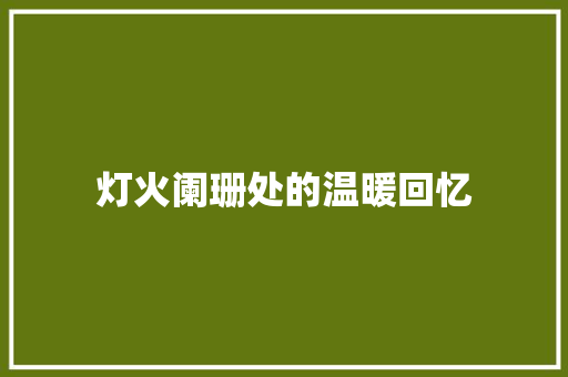 灯火阑珊处的温暖回忆