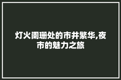 灯火阑珊处的市井繁华,夜市的魅力之旅