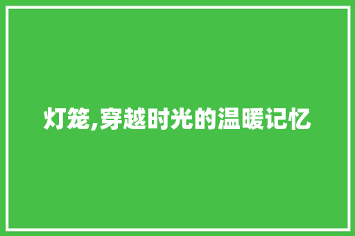 灯笼,穿越时光的温暖记忆