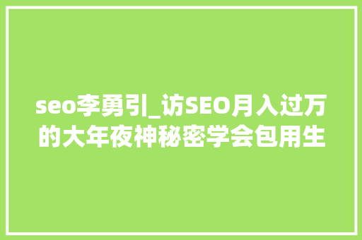 seo李勇引_访SEO月入过万的大年夜神秘密学会包用生平