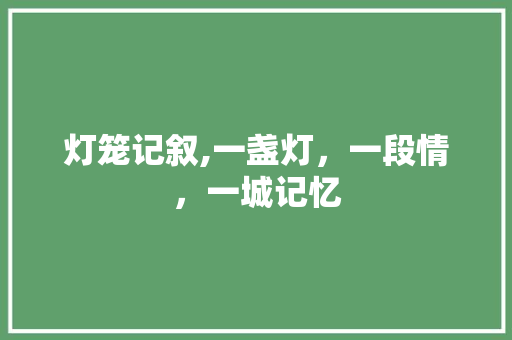 灯笼记叙,一盏灯，一段情，一城记忆