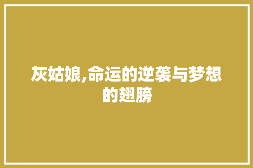 灰姑娘,命运的逆袭与梦想的翅膀