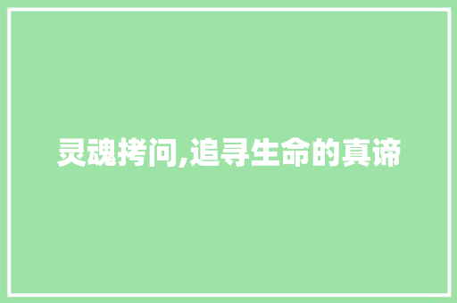 灵魂拷问,追寻生命的真谛