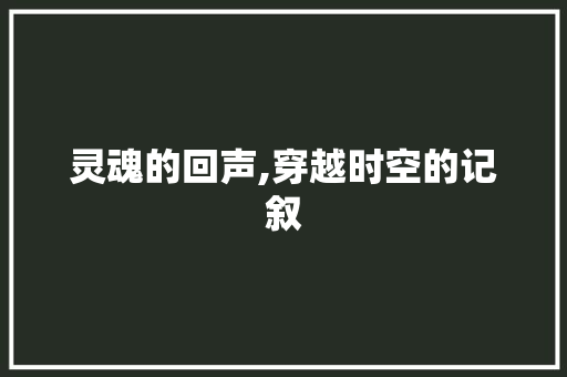 灵魂的回声,穿越时空的记叙