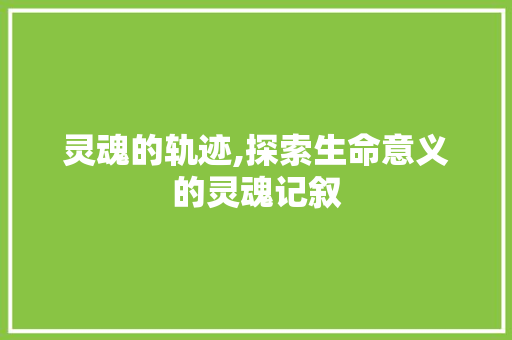 灵魂的轨迹,探索生命意义的灵魂记叙