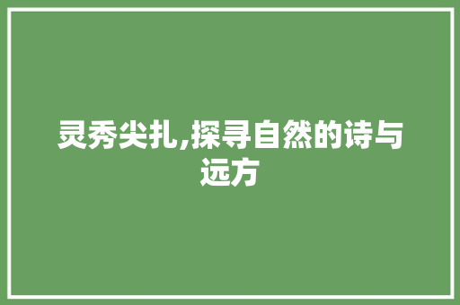 灵秀尖扎,探寻自然的诗与远方