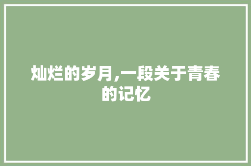 灿烂的岁月,一段关于青春的记忆