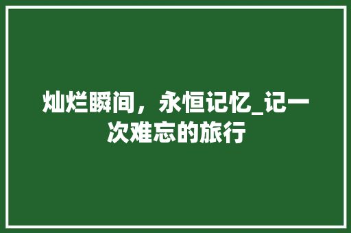 灿烂瞬间，永恒记忆_记一次难忘的旅行