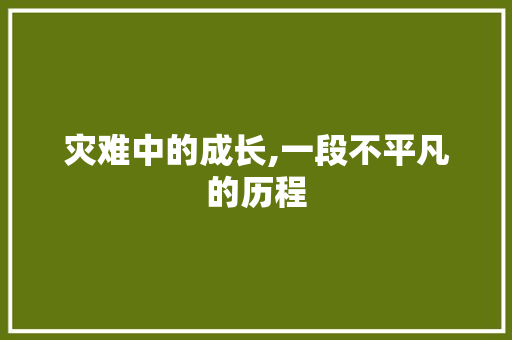 灾难中的成长,一段不平凡的历程