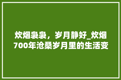 炊烟袅袅，岁月静好_炊烟700年沧桑岁月里的生活变迁