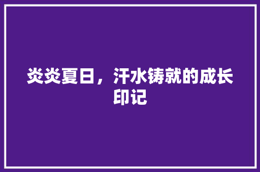 炎炎夏日，汗水铸就的成长印记