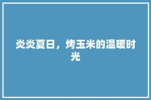 炎炎夏日，烤玉米的温暖时光