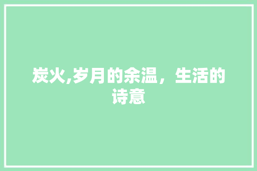 炭火,岁月的余温，生活的诗意