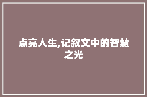 点亮人生,记叙文中的智慧之光