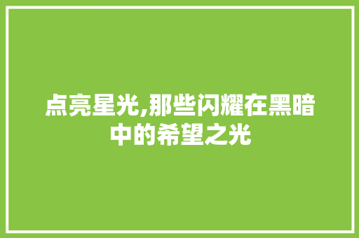 点亮星光,那些闪耀在黑暗中的希望之光