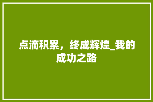 点滴积累，终成辉煌_我的成功之路