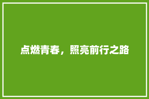 点燃青春，照亮前行之路