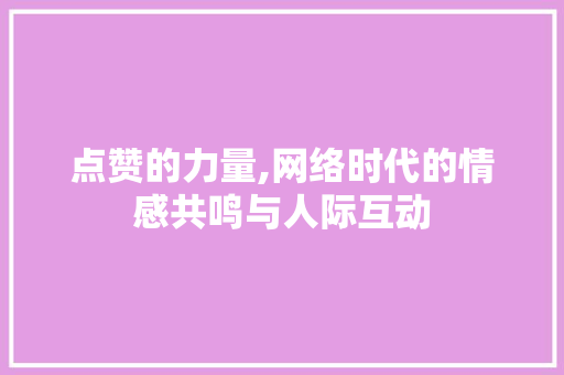 点赞的力量,网络时代的情感共鸣与人际互动