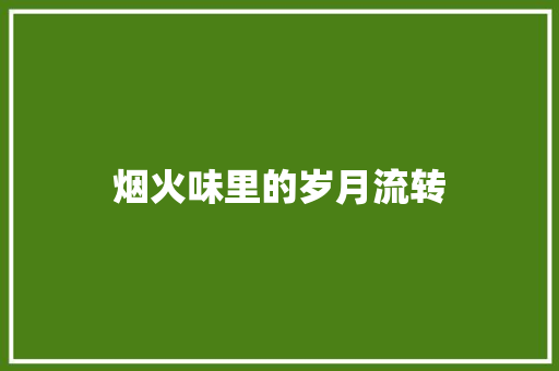 烟火味里的岁月流转