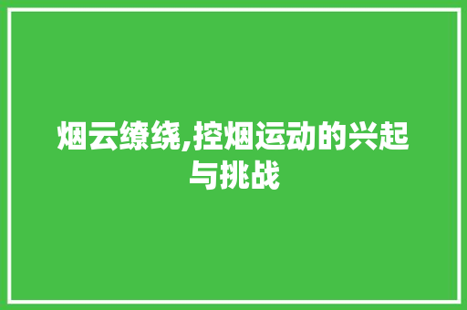 烟云缭绕,控烟运动的兴起与挑战