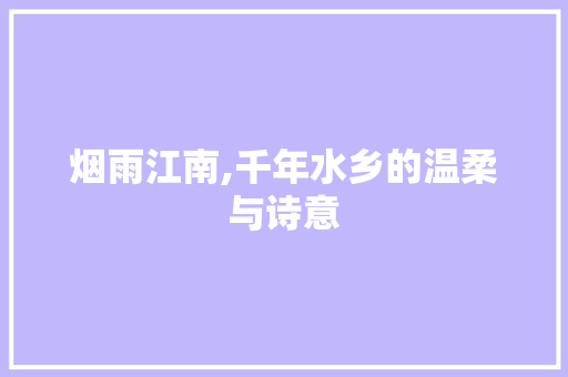 烟雨江南,千年水乡的温柔与诗意