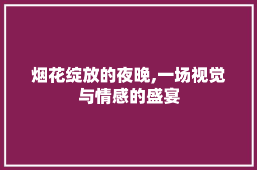 烟花绽放的夜晚,一场视觉与情感的盛宴