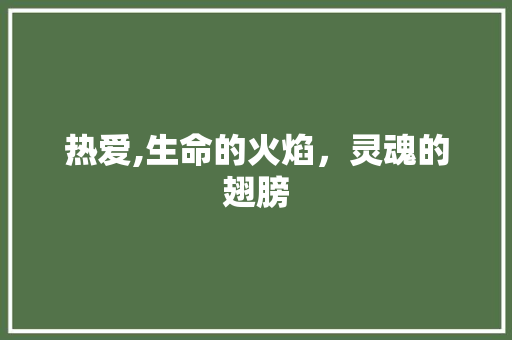 热爱,生命的火焰，灵魂的翅膀