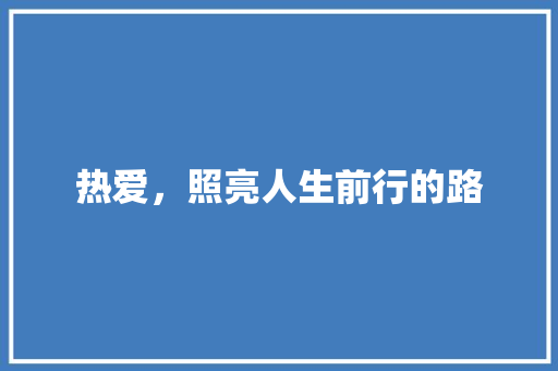 热爱，照亮人生前行的路