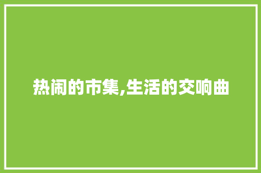 热闹的市集,生活的交响曲