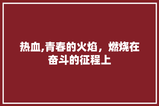 热血,青春的火焰，燃烧在奋斗的征程上