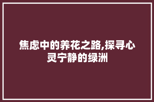 焦虑中的养花之路,探寻心灵宁静的绿洲