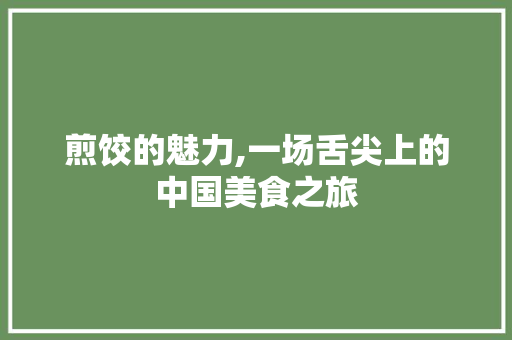 煎饺的魅力,一场舌尖上的中国美食之旅