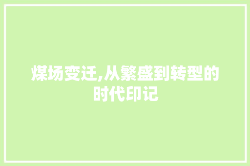 煤场变迁,从繁盛到转型的时代印记