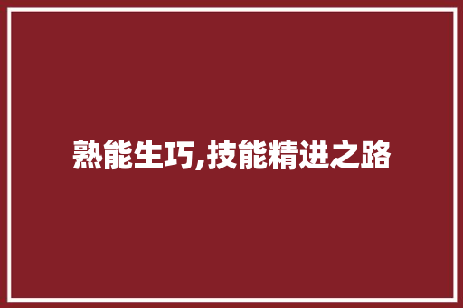 熟能生巧,技能精进之路