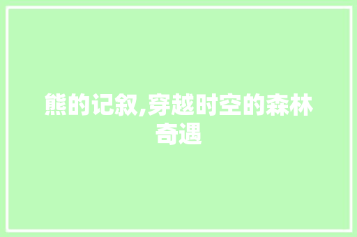 熊的记叙,穿越时空的森林奇遇