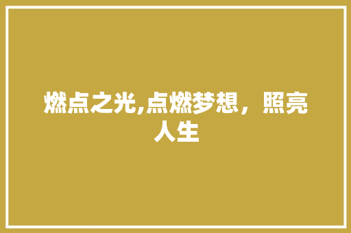 燃点之光,点燃梦想，照亮人生