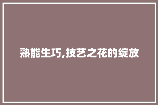 熟能生巧,技艺之花的绽放